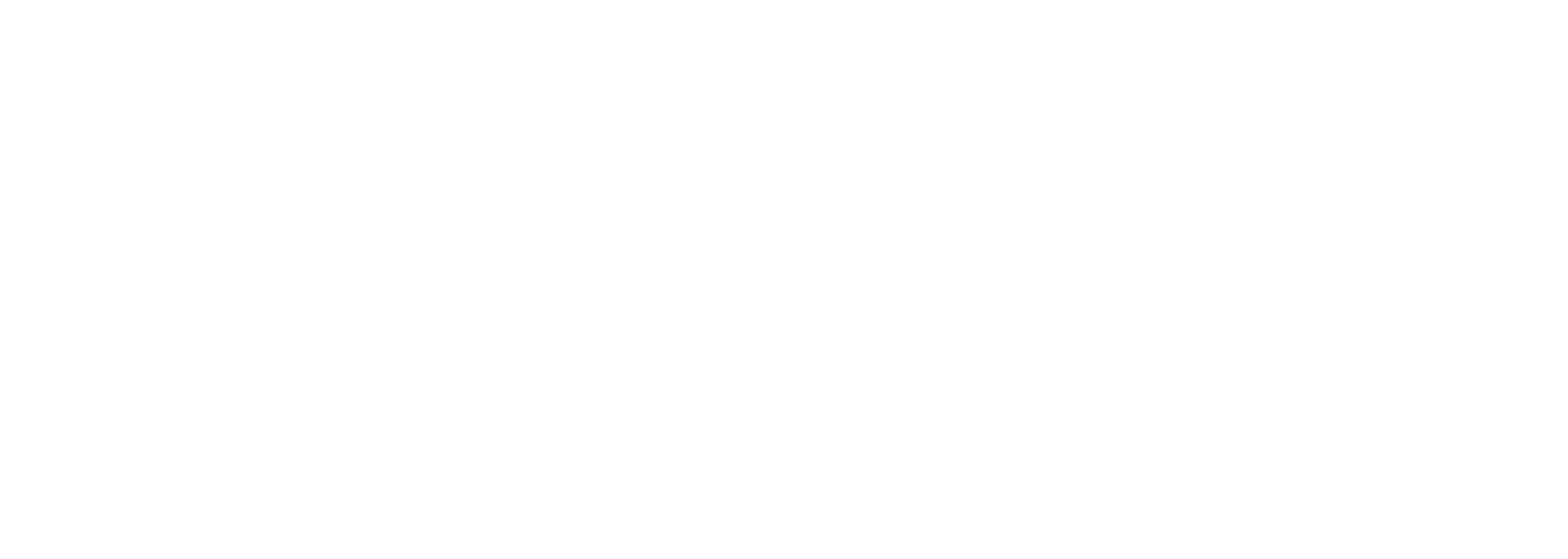 Top Service Sacile S.r.l.